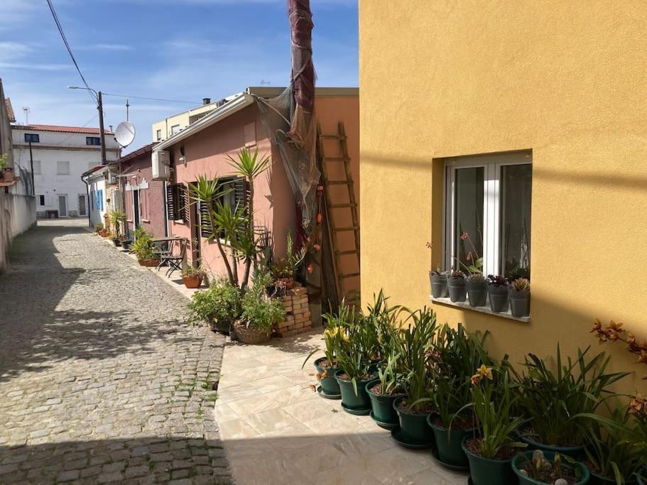 Casa Nova Villa Apulia Exterior photo